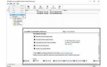 Bitrecover Windows Live Mail Converter Wizard screenshot #4