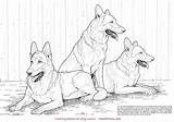Coloring Book Dogs Pages Hoofprints Favorite Choose Board Shepherd German Puppies Husky Dog sketch template