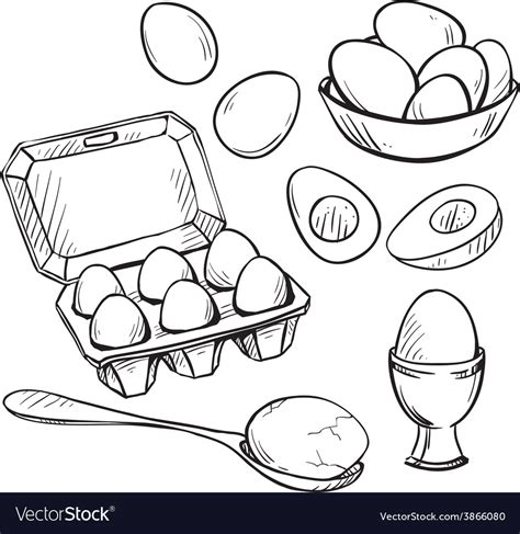 set  eggs drawings royalty  vector image