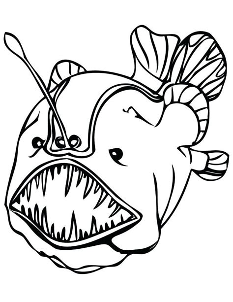 sea fish drawing    clipartmag