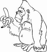 Orangutanes Compartan Disfrute Pretende Motivo sketch template