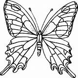 Butterfly Outline Template Drawing Monarch Clipart Coloring Butterflies Drawings Templates Tattoo Line Schmetterling Printable Stencil Zeichnen Flower Clipartmag Pages Getdrawings sketch template