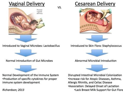 Why You Should Think Twice About A C Section Functional Holistic