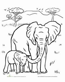 color  elephant family coloring  elephants  elephants