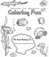Coloring Cover Book Monterey Bay Pages Front Ocean Books Aquarium Sheets Sea Christmas 77kb 850px Creatures Template sketch template