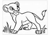 Roi Simba Coloriage Coloriages Scar Justcolor Colorier Enfant Rey Kiara Mufasa Coll sketch template