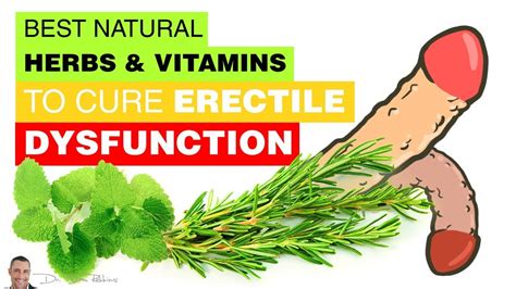 best natural herbs and vitamins to cure erectile dysfunction by dr sam robbins youtube