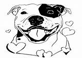 Staffordshire Staffy Terrier Dog sketch template