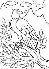 Birds Cute Feathered 30seconds Sits Parrot sketch template