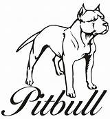 Pitbull Coloring Pages Drawing Puppy Dog Line Bulls Drawings Draw Printable Step Cartoon Chicago Pit Bull Easy Sketch Pitbulls Head sketch template