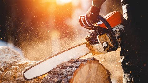 types  saws   cut   wood