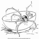 Muffet Miss Spider Little Color Fell Whey Curds Oh Into sketch template