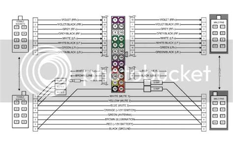 parrot ck wiring diagram wiring diagram pictures