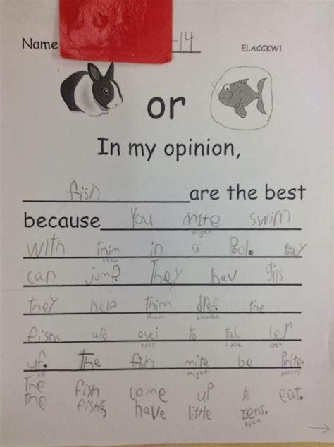 opinion writing  kindergarten writing samples opinion