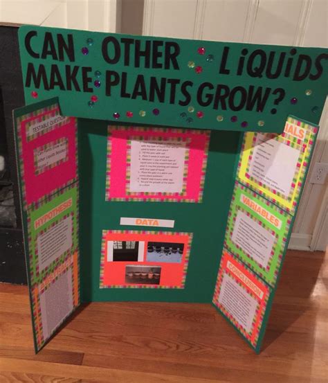 daughter   science experiment   science fair