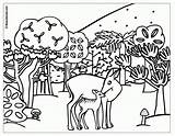 Coloring Woodland Pages Creatures Animal Popular sketch template