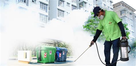 220V Ultrasonic Electronic Reject Insect Indoor Anti