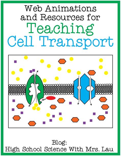 Analogy about endocytosis and exocytosis