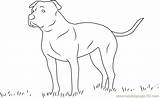 Coloring Dog Anatolian Shepherd Cute Pages Coloringpages101 sketch template
