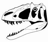 Yutyrannus Stegosaurus Skeletal Hartman Bones Bday Dinosaurs Fossils Agathaumas Seekpng Huali Papan sketch template