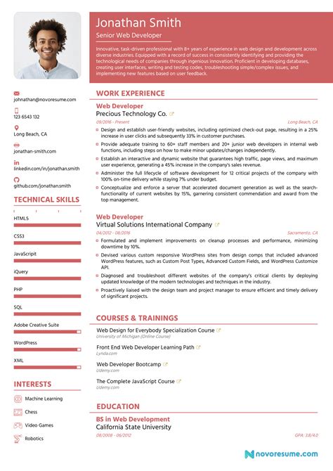 chronological resume template examples  writing guide cv writing