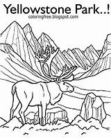 Yellowstone Elk sketch template