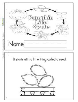 pumpkin life cycle booklet pumpkin life cycle fall kindergarten