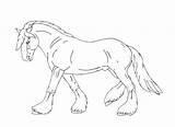 Paarden Dieren Volwassenen Paard Draft Animaatjes Equine Veulen Coloriages Printen Kleuren Mandala Afdrukken Lineart sketch template