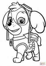 Coloring Paw Patrol Zuma Pages Getcolorings sketch template