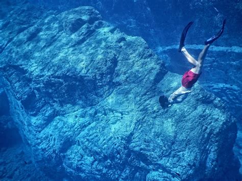 Incredible Free Diving Movies To Watch Now Manawa Blog