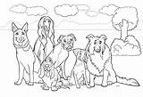 Kleurplaten Dieren Honden Kado Copyrights Gebruik Eigen Licentie Verspreid Mogen Vanwege Maar sketch template