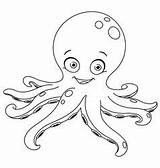 Pulpo Outlined Octopus Desde sketch template