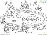 Worksheet Animal Frogs Ranas Colorir Estanques Estanque Search Habitats Preschoolers Leerlo Sapo Lagoa étang Coloriage sketch template