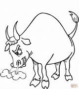 Coloring Bull Angry Pages Bulls Printable Drawing sketch template