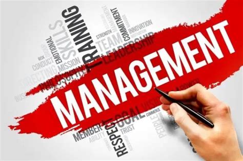 management management study hq