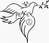 Dove Coloring Peace Clipart Line Cliparts Olive Branch Pages Clip Library Colouring Hope Popular sketch template