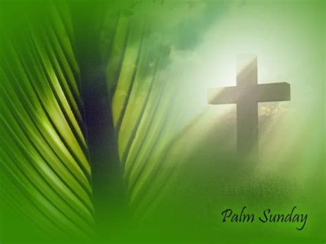 happy palm sunday  wishes quotes images pictures messages sms