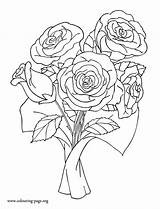 Coloring Pages Roses Bunch Rose Colouring Flower Mothers Mother Kids Flowers Drawing Color Printable Sheet Sheets Adult Books Realistic Print sketch template