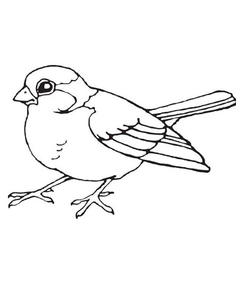 bird coloring page