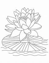 Coloring Lotus Printable Pages Flowers Flower Popular sketch template
