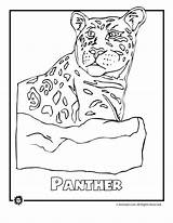 Rainforest Coloring Animals Pages Endangered Animal Colouring Sheet Library Clipart Print Species Panth Popular sketch template