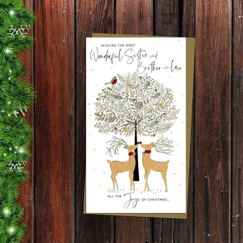 Sister And Brother In Law Two Reindeers Christmas Card