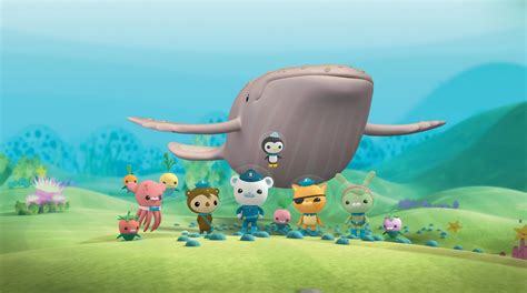 oktonauti octonauts   albino humpback whale se