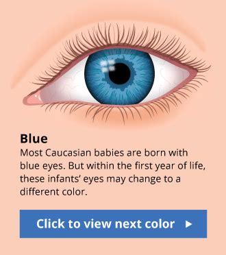 human eye color chart  fun facts