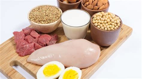 include  protein   diet health news