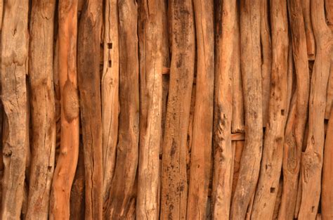 stock de fotos gratis troncos de madera hworks september