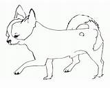 Chihuahua Chihuahuas Bestcoloringpagesforkids sketch template