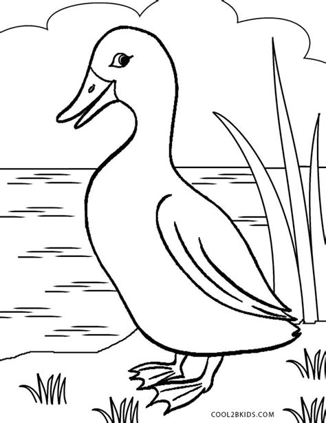 printable duck coloring pages  kids