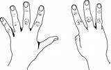 Clipart Fingers Hands Eight Finger Clip Counting Cliparts Count Library Object Style Illustration Etc States United Gif Line Transparent Usf sketch template