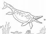 Pages Coloring Huge Ichthyosaur Coloringpagesonly sketch template